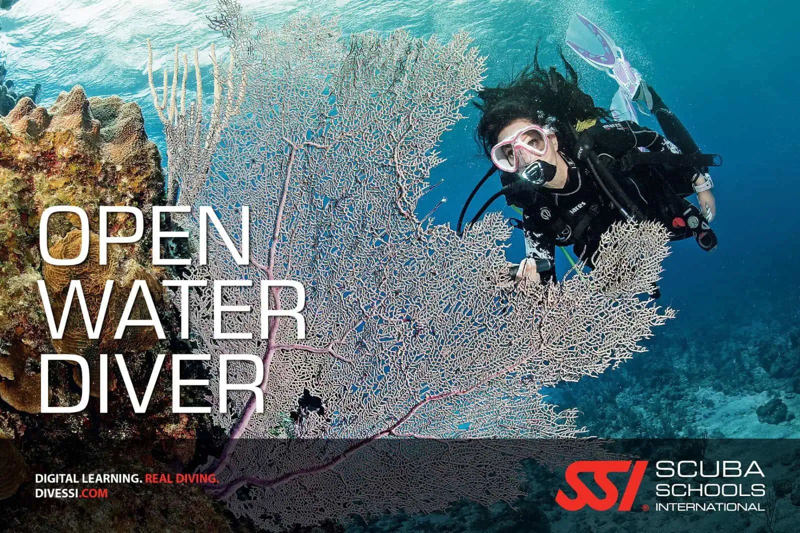 Open Water Certification